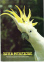Paradise Park Guide 1979 - Sulphur Crested Cockatoo
